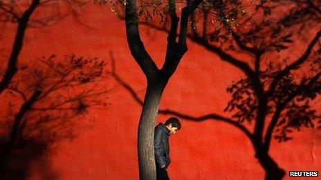 A man walks past trees at the Forbidden City in Beijing, 13 November 2012