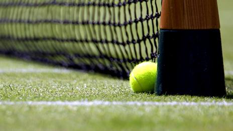 A tennis ball and net