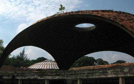 Roof with weeds