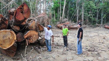 Inspecting illegal logging in PDS Virola-Jatoba