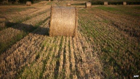 Straw bales