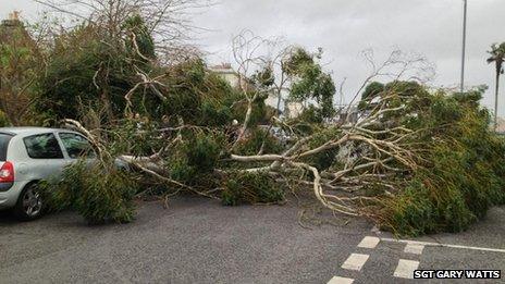 Fallen tree in Falmouth. Pic: Sgt Gary Watts