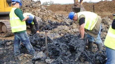 Dig for Mustang near Faldingworth