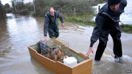 People rescue chickens from flooding in Gloucester