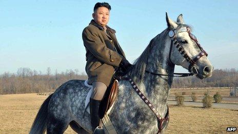 Photo of Kim Jong-un released by North Korea's official Korean Central News Agency (KCNA) on 20/11/12