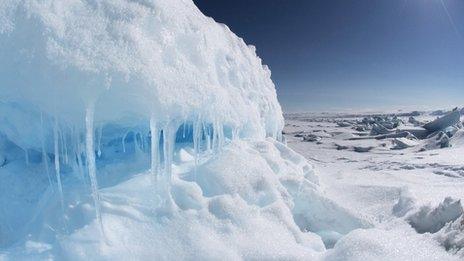 Arctic landscape