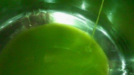 Erminio and Ceil's olive oil