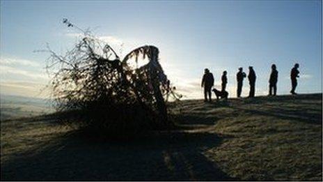 Holy Thorn on Wearyall Hill, Glastonbury