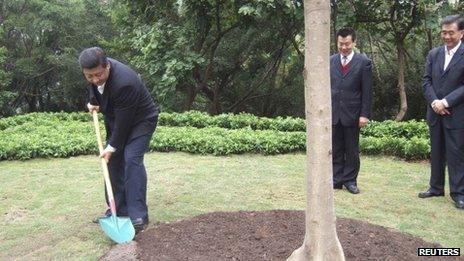 In this handout photo released by TaKungPao.com on December 10, 2012, China"s Vice President Xi Jinping (L) plants a tree on Lianhua hill in Shenzhen, Guangdong province, December 8, 2012