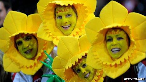 Welsh rugby fans