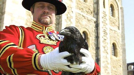 Chris Skaife, the tower's raven master