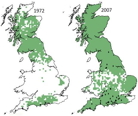 Roe deer range extent in 1972 (left) and 2007. Black diamonds indicate location of field site visits in 2011 and 2012