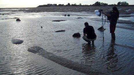 Researchers in the estuary