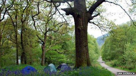 West Highland Way (image coutesy of Ian Derrick)