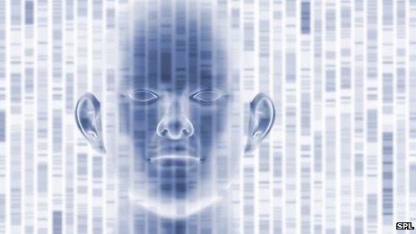 Computer graphic of a DNA autoradiogram and a human head.