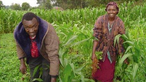 Kenya, farmers