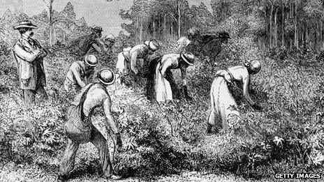 An image showing cotton pickers on a plantation circa 1875