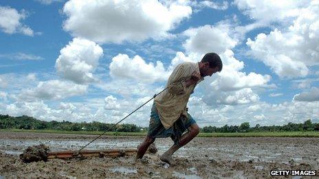 Indian farmer