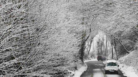 A car travels through woodland covered in snow at Crowhurst near Hastings south east England January 20, 2013. REUTERS/Luke Macgregor