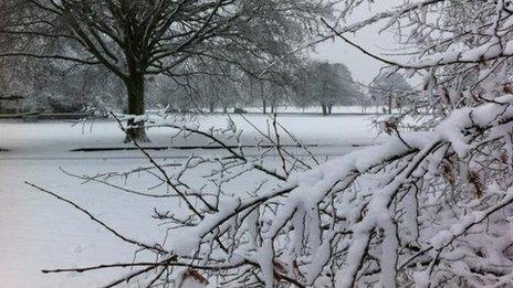 Harrogate Stray