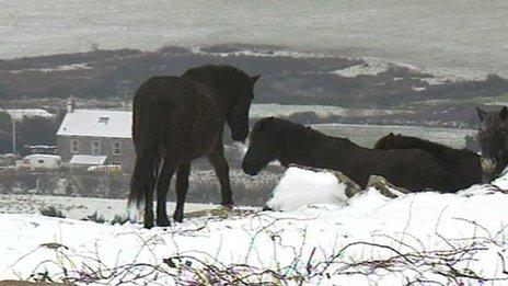 Snow in Cornwall, January 2013