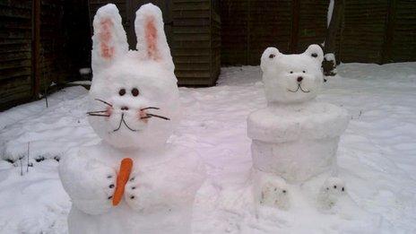 Snow rabbit and bear