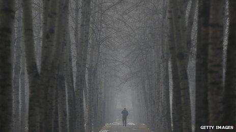 A man wearing a mask walks under the trees during severe pollution on January 23, 2013 in Beijing.