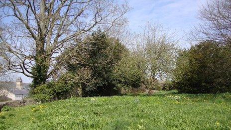 Lord's Garden, Ruthin