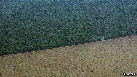 Aerial photograph of a tract of jungle cleared by loggers in the Xingu Indigenous Park on 19 November 2012