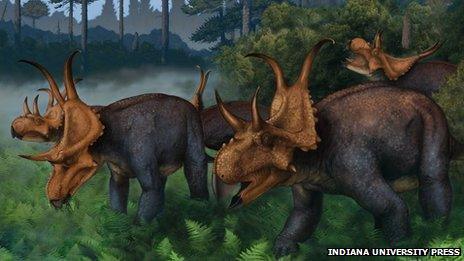 Cover of The Complete Dinosaur, Second Edition