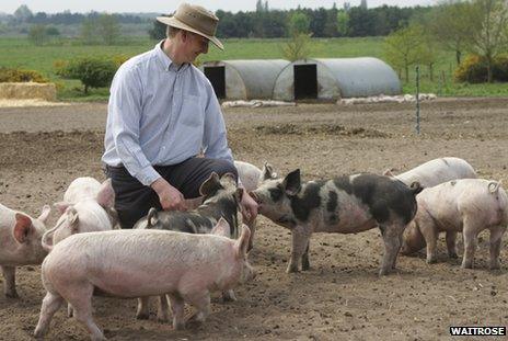 Waitrose pig farmer