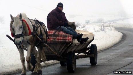 A man rides on a horse and cart