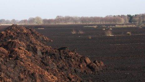 Little Woolden Moss,