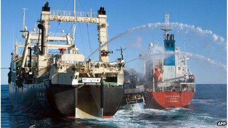 Japan's Nisshin Maru whaling ship (L), Sea Shepherd's Bob Barker (C) and the Sun Laurel tanker in the Southern Ocean (25 Feb 2013) Image supplied by Sea Shepherd