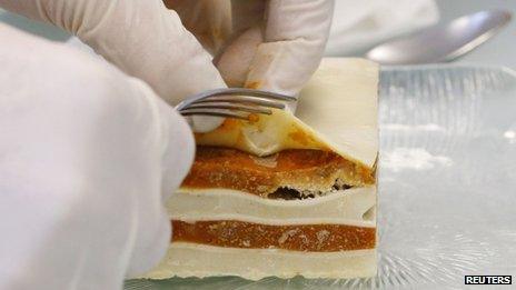 A laboratory worker of the Official Food Control Authority of Canton Bern extracts the meat of beef lasagne for a DNA test in the laboratory in Bern February 14, 2013.