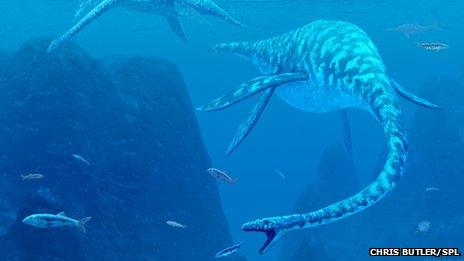 Plesiosaur