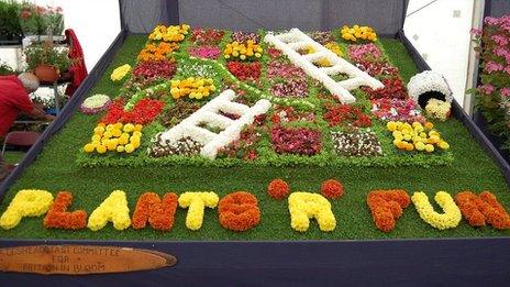 Snakes and Ladders floral display