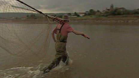 Salmon fisherman with net on Severn