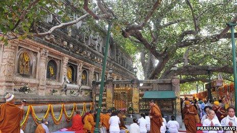 Mahabodhi tree