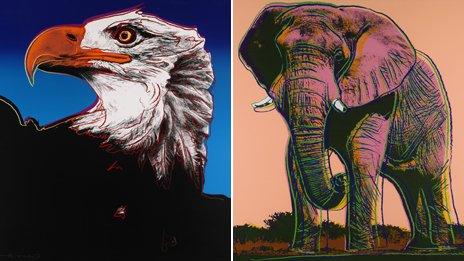 Bald eagle and African elephant