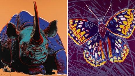 Black rhinoceros and San Francisco silverspot