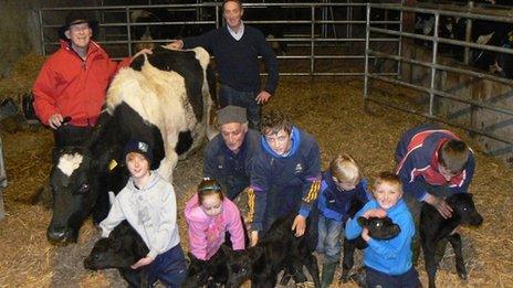 The Kirby family and Dan Ryan (in red) with the cow and calves