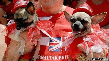 Gibraltan dogs in British hats