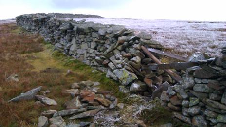 Foel Fras