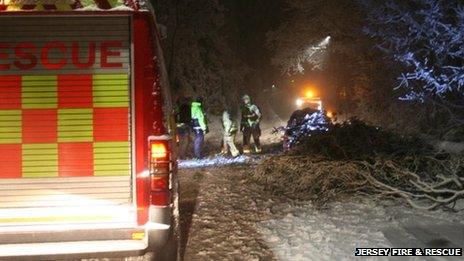 Fire and Rescue helping a couple trapped under a tree