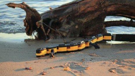 Robotic salamander, copyright Kostas Karakasiliotis, Biorobotics Laboratory, EPFL