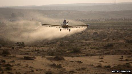 An Israeli man spraying insecticide to try to contain the locust upsurge