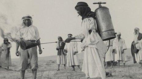 A locust eradication attempt in 1915 in Palestine. Library of Congress, Prints & Photographs Division LOT 13758