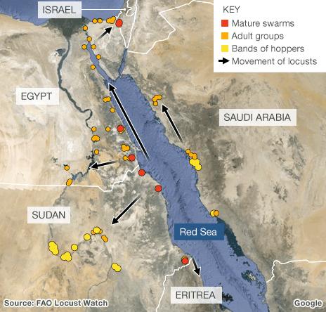 A map showing the location of locusts in Israel and surrounding countries