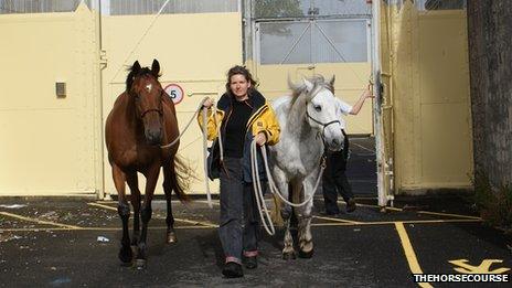 Harriet Laurie with two of her horses